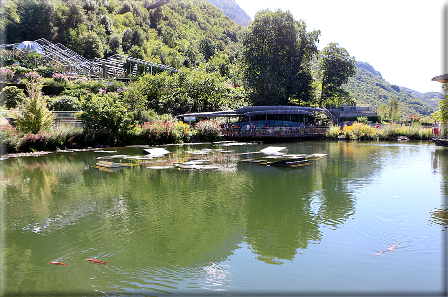 foto Giardini Trauttmansdorff - Giardini acquatici